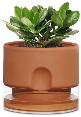 Vaso autoirrigante da 15,2 cm per piante da interno, vasi da fiori in terracotta, vaso autoirrigante con serbatoio trasparente, grandi vasi in terracotta da esterno, regalo moderno per giardinaggio