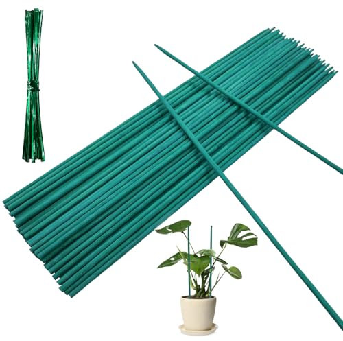 50PCS Plant Support Sticks with 50PCS Twist Ties, 44cm Garden Bamboo Stakes for Flowers Floral Plant(44cm)