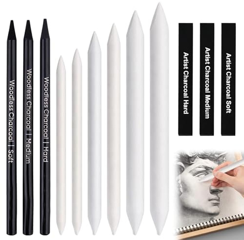 12 Stück Zeichenkohle Set, Skizzier und Zeichenstifte Set, Papierwischer zum Zeichnen, Kohlestifte für Skizzen, Zeichenkohle Kohlestifte zum Zeichnen, für Anfänger und Künstler zum Malen Skizzieren