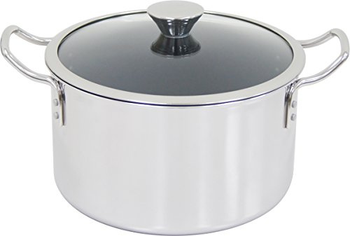 Urushiyama - Olla industrial de metal de doble mano, 22 cm, compatible con inducción, acero inoxidable, fabricada en Japón, IH-Duo DUO-22W, sin PFOA