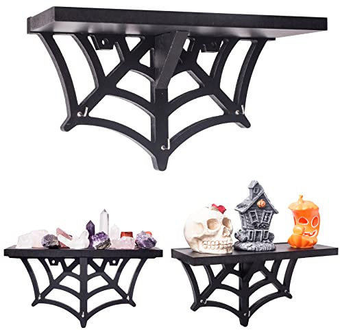 CEFRECO Spider Web Floating Shelf - Gothic Halloween Hanging Shelf with Hooks for Wall Oddities and Curiosities - Black Spooky Goth Wall Decor for Kitchen and Home - Crystal Display Shelf for Stones