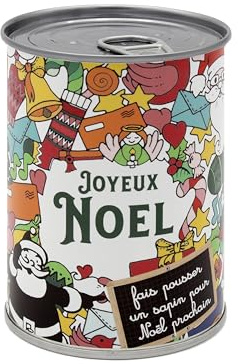 Mauvaises Graines - Cadeau Noël - Kit de Plantes à Semer en Boîte - Kit de Culture à Offrir comme Cadeau Noël Original Amis Famille - Ultra Simple à Utiliser - 100% Fabriqué en France (Joyeux Noël)