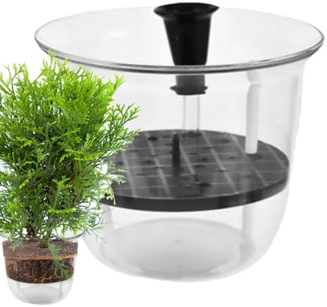 Piccoli vasi autoirriganti trasparenti riutilizzabili forniture da giardino | Vasi da fiori autoirriganti per casa, ufficio, interni ed esterni, cortile, veranda, balcone, orchidea