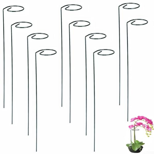 Spiral-Pflanzstäbe aus Metall für Kletterpflanzen, Gartenstützpfähle zur Förderung des vertikalen Wachstums und der Stabilität, für Innen- und Außenbereich, Gartenarbeit, 40 cm, 10 Stück