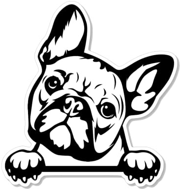 Peeking French Bulldog Sticker (2 Pack) 3.75” x 3.5” Peeking Bulldog with Paws Vinyl Decals for Cars, Car Windows, Water Bottles, Phones. Gift for French Bulldog Owner, Men Women