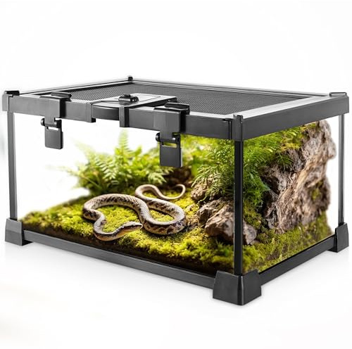 NEPTONION Mini reptilglas terrarium vivarium 30 cm x 20 cm x 15 cm full vy tank små amfibier glaslivsmiljöbur med matningsplats och lås-spänne