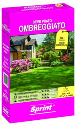 Sprint semi per prato ombreggiato universale - 40m² sementi erba per tappeti erbosi ombreggiati, 1kg semi per prato in ombra resistente al gelo e calpestio,per la copertura di zone ombreggiate