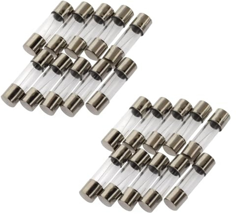 20 Stücke Feinsicherung 10A, 5x20mm, Träge Packung Glassicherung 250V