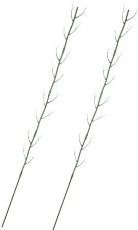 Didiseaon Tuteurs pour Plantes Grimpantes Et Treillis pour Plantes en Pot pour Jardin Et Intérieur Lot De 2 Supports en Polypropylène De 100 Cm Décoratifs De Branches Support Stable