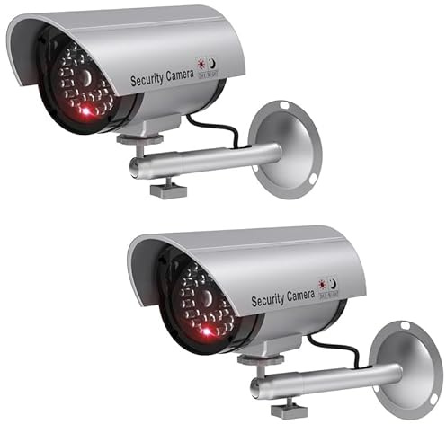 WALI Dummy Fake Camera, Surveillance Security CCTV Dome Camera, Indoor Outdoor Cameras, with One LED Light, Security Alert Sticker Decals (TC-S2), 2 Packs, Silver