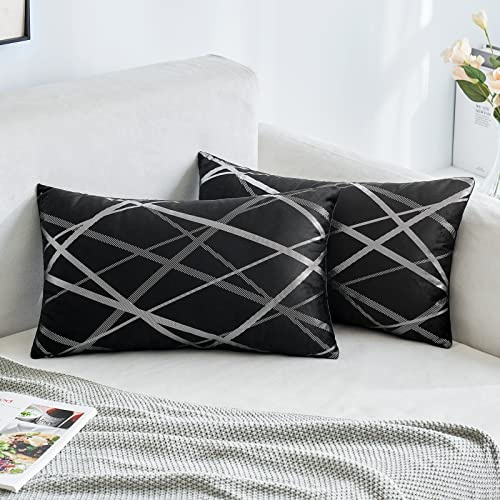 MIULEE 2er Set Samt Kissenbezug Silver Kissenbezüge Dekokissen Dekorativ Sofakissen Kissenhülle Zierkissenbezug Zierkissen Bezug Überzug Deko Kissen Bezüge Couchkissen Sofa Schwarz 30x50 cm
