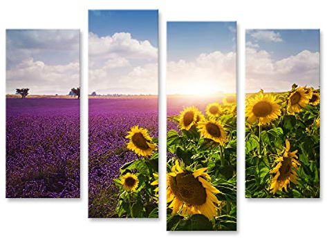 islandburner Bild Bilder auf Leinwand Lavendel und Sonnenblumen Felder, Provence Wandbild, Poster, Leinwandbild NTG