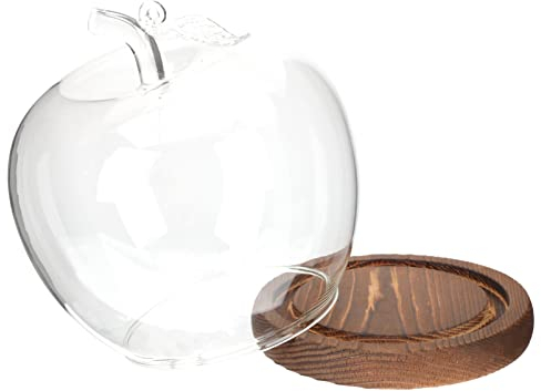 Zerodeko Glaskuppelabdeckung mit Holzsockelform Glasglocke Kuppelglas Süßigkeiten Snacks Teller Cupcake Halter Konservierte Blumenabdeckung für Pflanzen Lebensmittel Tischdekoration
