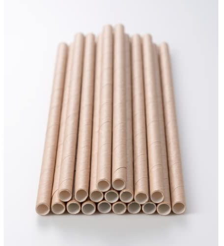 Paja de cartón Kraft biodegradable | Lote de 250 pajitas desechables rectas 20 cm | Pajitas ecológicas | Reciclables y Compostables | Bebidas frías