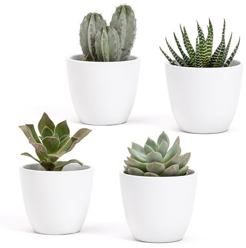 Set med 4 glänsande vita keramiska krukor | Storlek 7 x 6 cm | Perfekt för suckulenter, bonsai, blommor, dekorativa moderna inomhusburkar för hem, skrivbord, bord, kontor (vit)
