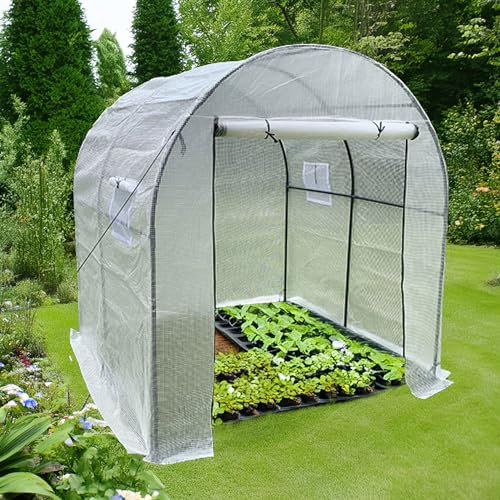 TOPCENT Foliengewächshaus, Tunnelgewächshaus, weiß, 180 x 180 x 197 cm