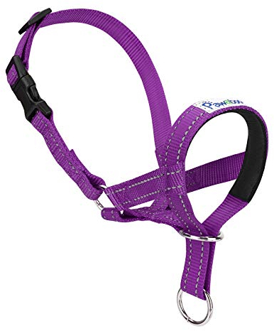 Pawaboo Hundehalfter Haustier Sicher Kontrolle - Nylon Reflektierende Einstellbare Hundehalter Hundeband Training Halter für Hunde, Wepeln, M Größe, Lila