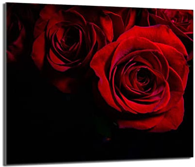 DarHaus Copri piano cottura induzione 60x52 cm copertura per piano cottura in vetroceramica 1 pezzi universale per piastre di cottura paraspruzzi tagliere in vetro temprato, Rosa rossa