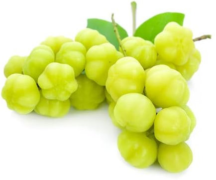 60 graines de groseille à maquereau verte