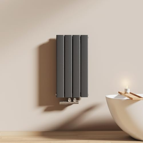 EMKE Radiateur à Eau Chaude 60x30 cm, Double,Anthracite | Radiateur plat Double couche connexion centrale, Montage mural vertical design