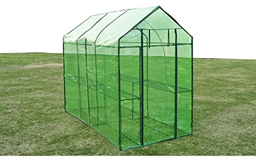 QUAHEAS Invernadero de acero XL con marco recubierto de polvo, 120 x 240 x 190 cm, lámina verde resistente a la rotura, 2 estantes, invernadero resistente a la intemperie para tomates, verduras