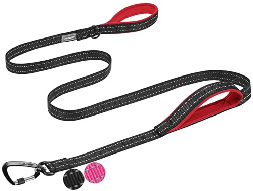 VIVAGLORY Dog Lead Lighthook Double Handle Dog Lead, Leash with Traffic Handle & Locking Carabiner for Walking & Training, Traffic Control Lightweight Carabiner for Puppy Pet, 1.5m x 2.5cm, Black