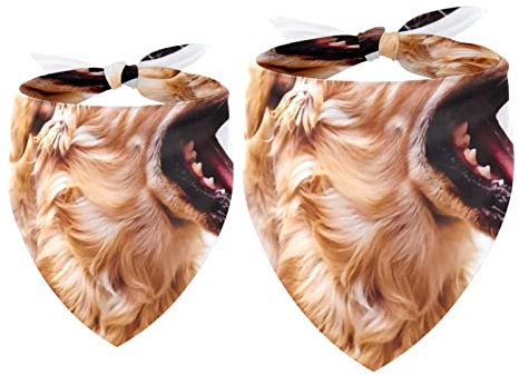 Hundehalstücher im 2er-Pack, dreieckiger Haustierschal, transparenter Chiffon-Stoff, Halstuch für kleine, mittelgroße und große Hunde und Katzen,Golden Retriever Tier