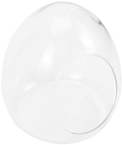 SEWOART Bouteille pour - avec Plantes Et Mousse Conteneur Décoratif Modèle pour Décoration Intérieure