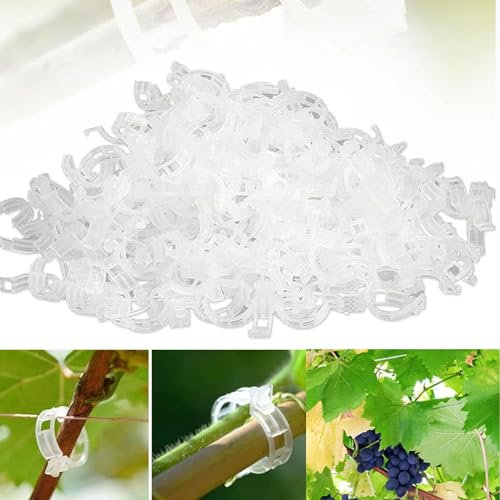 150 Pcs Pflanzenclips Kletterhilfe Pflanzen, Pflanzenklammern Tomaten Rankhilfe, Kunststoff Tomatenklammern für Kletterpflanzen, Blumen klammern für Gemüse Tomate Pflanzen Befestigun (150, Transpare)