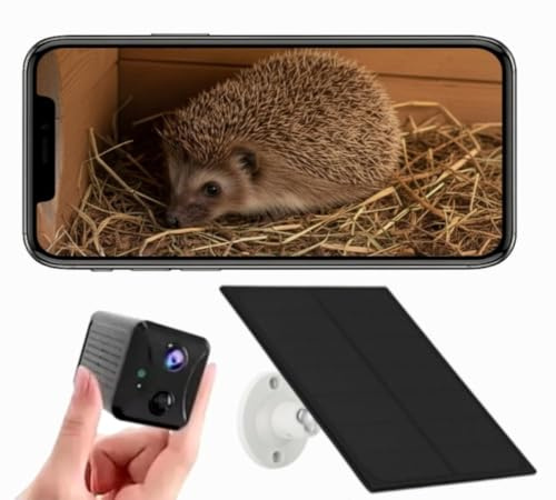 PeekWild Telecamera a energia solare per ricci, con WiFi, wireless, HD, con visione notturna, ricci in diretta streaming sul tuo telefono, telecamera a energia solare per riccio