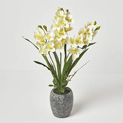 Homescapes extra große künstliche Orchidee Phalaenopsis, hochwertige künstliche Orchidee mit weiß-grünen Blüten, XXL-Deko-Orchidee Phalaenopsis im dunklen Übertopf, dekorative Kunstblume, 82 cm hoch