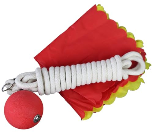 Ballon de fitness Hammer | Poids d'entraînement de fléchettes en corde en caoutchouc avec corde | Équipement de pratique des arts martiaux chinois pour le kung-fu, le fitness et la musculation