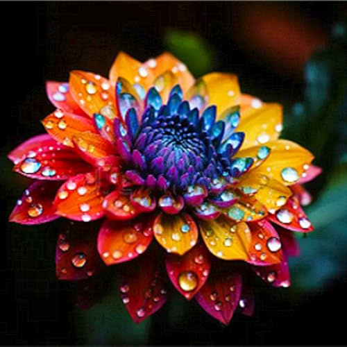 Schnell-Wachsend, Ideale Dahlien, Nachhaltige Geschenke, Super Kollektion, Gartendeko FüR DraußEn, Sehr Exklusiv, Gartendekoration, -6 Dahlien -H