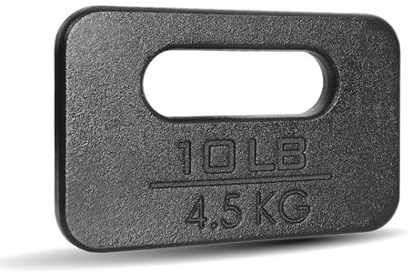 Yes4All ZC4Y Cast Iron Rucking Weight Plate for Backpack, 4,5 KG | 10 POUND, Black