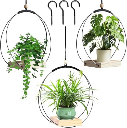 RZXBB Hängende Pflanzen Topf Mit Holzsockel, Blumenampel Hängend Innen,Hängeampel Pflanzen,Hängetopf für Pflanzen,Blumenampel Innen,Aufhängehaken Inklusive,Decke Hängende Pflanzer (3 Stück)