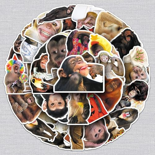 Funny Monkey Stickers,Cute Monkey Graffiti Stickers,50Pcs Vinyl Waterproof Decals for Kids Teens,for Phone Laptop Water Bottles Skateboard Computer Phone Luggage Guitar Car Gifts