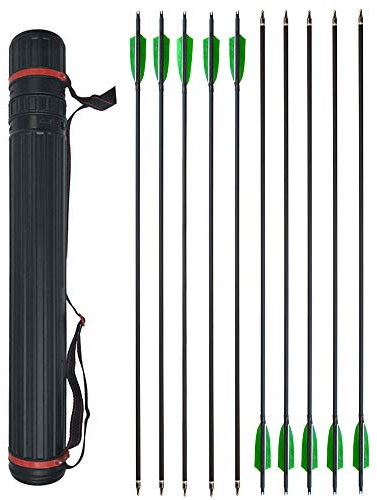 ZSHJG 12pcs Carbonpfeile für Bogenschießen 30,5 Zoll Jagdpfeile Spine 500 Bogenpfeile mit Pfeilköcher für Compound und Recurve Bogen Pfeile für Bogensport (Pfeil und Köcher)