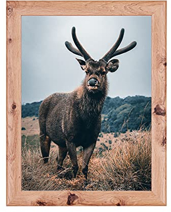 Rahmendesign24 Posterrahmen Fiona 30x45 Eiche natur Fotorahmen, Wechselrahmen, Bilderrahmen