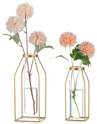 Sziqiqi Oro Metallo Fiori Vaso - Cornice Moderno Provette di Vetro 19,5/24,5 cm Geometrico Vaso per Tavolino da Salotto Chic Cilindro Piante Tulipani Pampas