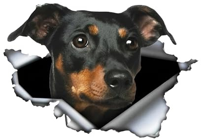 Autoaufkleber Dobermann Aufkleber 15cm(5.9 Inch) Kleiner Dobermann Reflektierende Aufkleber 3D Zerrissen Aufkleber Little Dobermann Car Sticker Hund Personalisieren Lustig Laptop Dekor Aufkleber