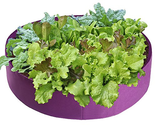 LSFYYDS 100 Gallon Plant Grow Bags,Breathable Planting Container,Fabric Felt Raised Planter,Planting Bag for Potatoes Vegetables and Fruits (1)