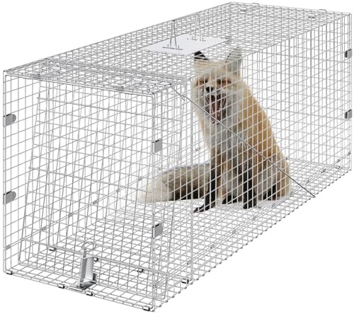 Humane Live Animal Trap - Collapsible 50 x 20 x 26 Cage Made from Durable Galvanized Iron | Ideal for Safely Capturing Stray Dogs, Raccoons, Armadillos, and Foxes with Convenient Carrying Handle