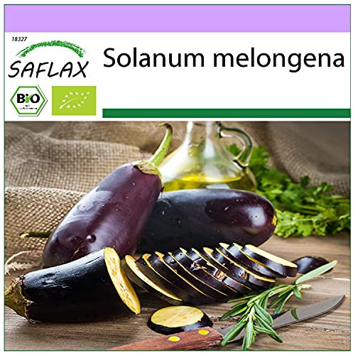 SAFLAX - Ecológico - Berenjena - Púrpura Larga - 20 semillas - Solanum melongena