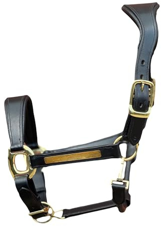 Equipride Anatomisches Lederhalfter, superweich gepolstert, goldfarbene Beschläge, stufenlos verstellbar (Schwarz, Full)