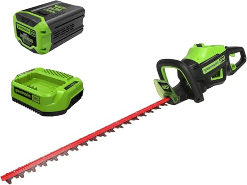 Greenworks GD60HT66K2 Taille-haie sans fil 60 V Longueur de coupe 66 cm Espacement des dents 28 mm Poignée ergonomique avec batterie 2 Ah et chargeur