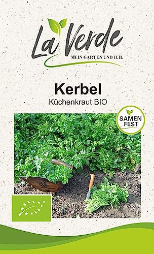 Kerbel BIO Kräutersamen
