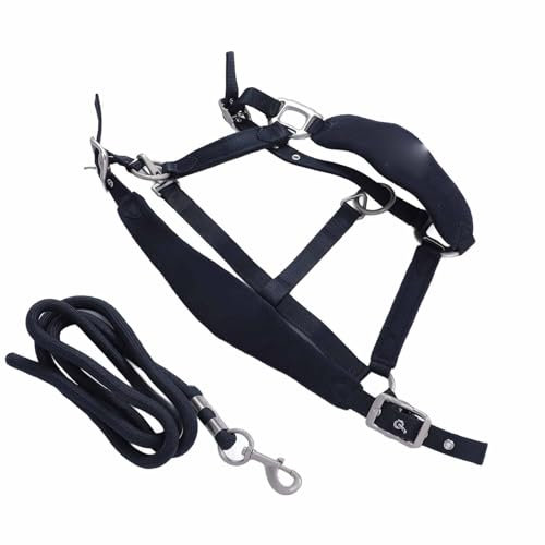 Pferdehalfter-Leine-Set, Polyester-Material, Verstellbare Gr??e, 2 M Lange Leine, Verhindert Reibung, Pferde-Trainingshalfter mit Gepolsterter Polsterung f¨¹r das T?gliche (kleine