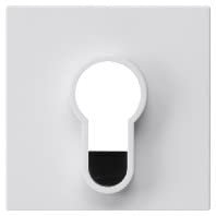 Gira 866403 Abdeckung für Schlüsselschalter und Schlüsseltaster unbedruckt, System 55, reinweiß glänzend