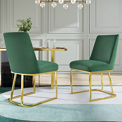 Kayan Moderne Esszimmerstühle (Set,2er), Freischwinger, Sitzfläche aus Samt, goldene Metallbeine (Grün)