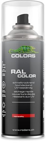 COLORS Sprühlack - 400ml Spraydose - Sprühfarbe für alle Oberflächen, Innen und Aussenbereich, Tolle Deckkraft | Klarlack Hochglanz